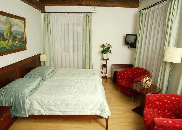 Cerna Liska 호텔